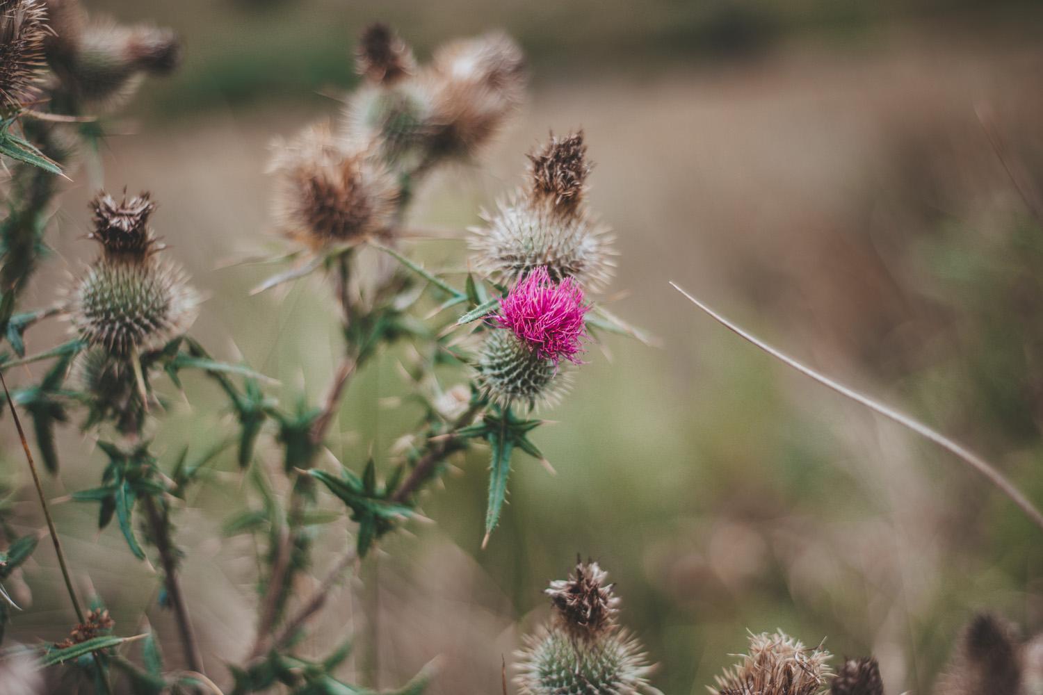 Crianlarich Youth Hostel エクステリア 写真